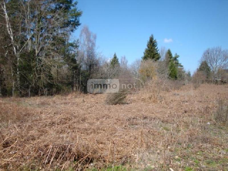 Achat terrain a batir Mauriac 15200 Cantal 23320 euros Terrain a batir a vendre Mauriac 15200 Cantal 23320 euros