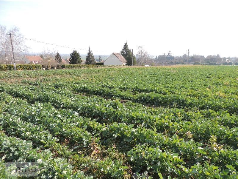 Achat terrain a batir Saulcet 03500 Allier 1500 m2 20000 euros Terrain a batir a vendre Saulcet 03500 Allier 1500 m2 20000 euros