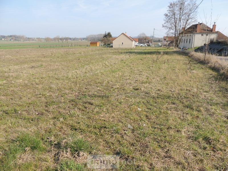Achat terrain a batir Saulcet 03500 Allier 1500 m2 22000 euros Terrain a batir a vendre Saulcet 03500 Allier 1500 m2 22000 euros