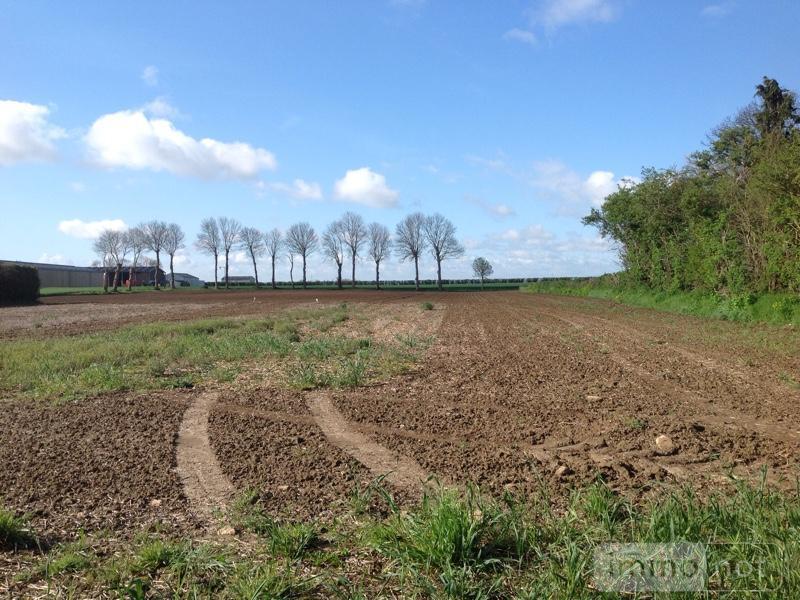 Achat terrain a batir Creully 14480 Calvados 12000 m2 38160 euros Terrain a batir a vendre Creully 14480 Calvados 12000 m2 38160 euros
